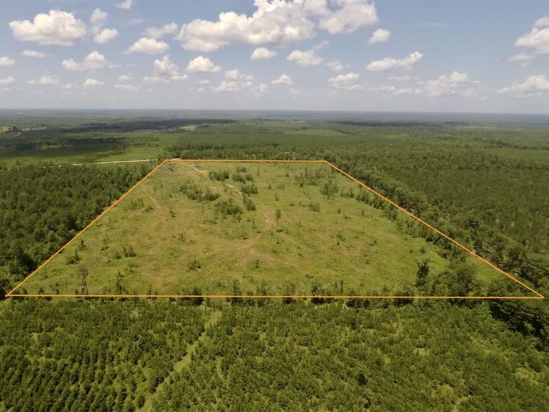 60 Acres, Union County, Moro Bay : El Dorado : Union County : Arkansas