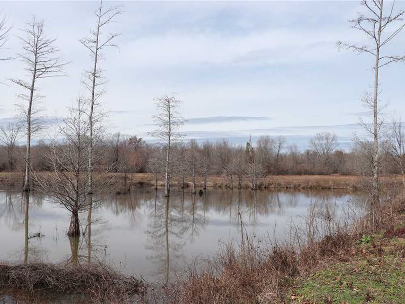 75 Acre Duck Hole & Deer Hunti : Perry : Perry County : Arkansas