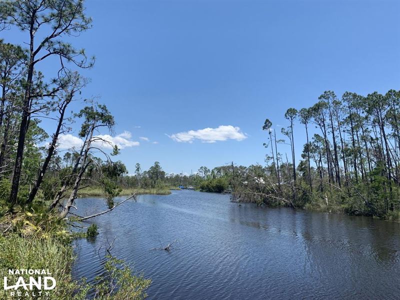 Wetappo Creek Waterfront Property : Wewahitchka : Gulf County : Florida