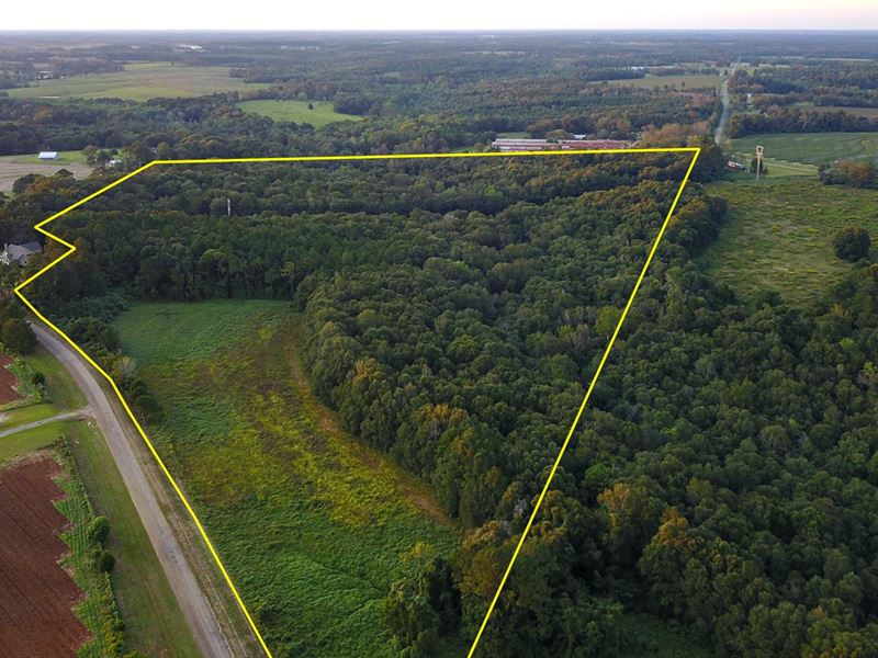 55 Acres Tom Fain Rd, Geneva : Geneva : Geneva County : Alabama
