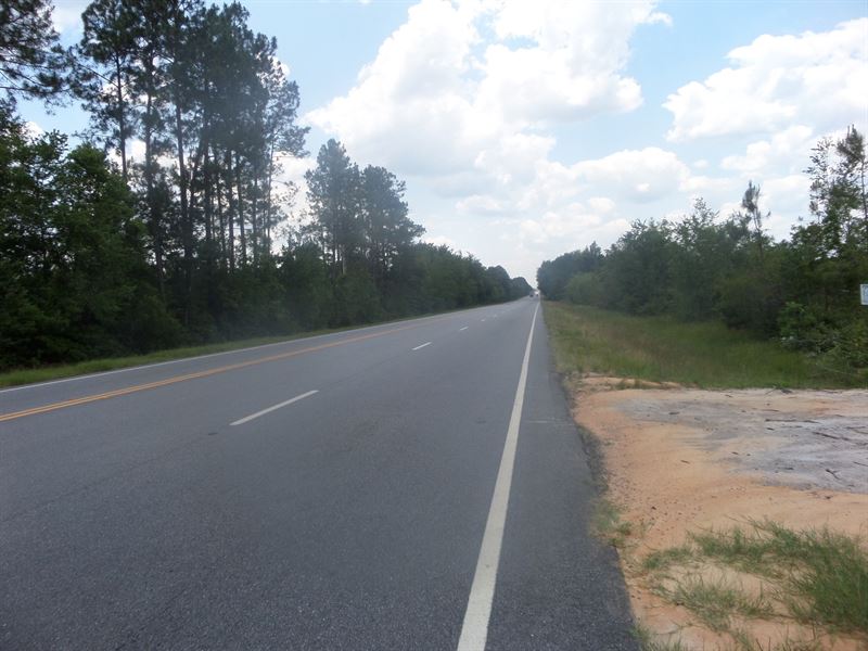 17 Acres Cleared for Homesite : Jesup : Wayne County : Georgia