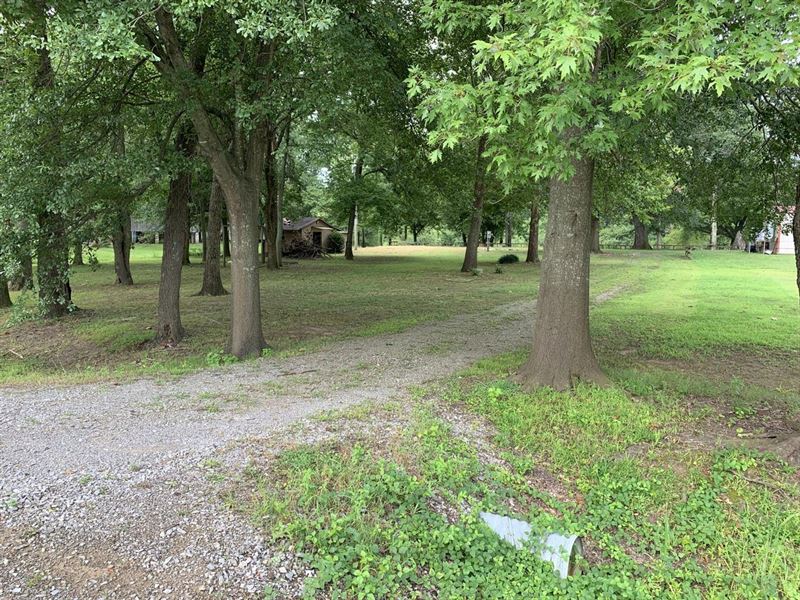 Taylor Bay Lot : Augusta : Woodruff County : Arkansas