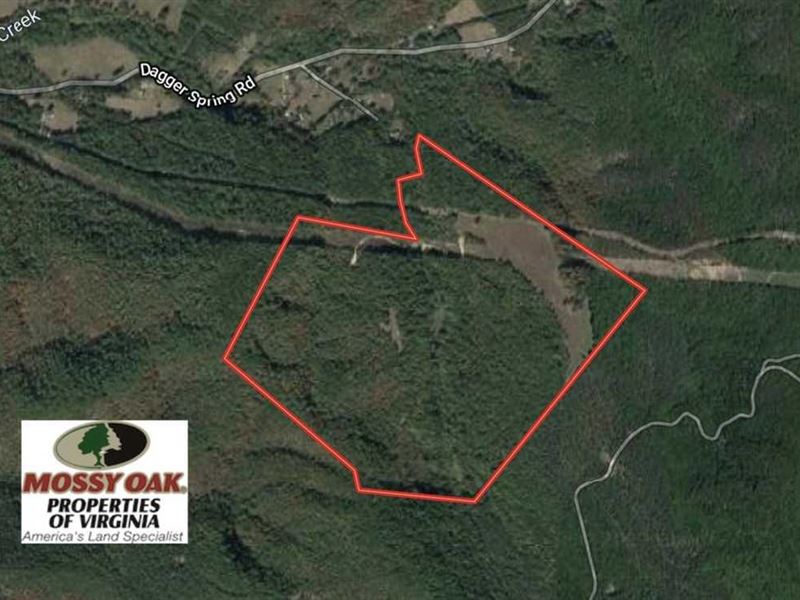 148 Acres of Hunting and Recreation : Eagle Rock : Botetourt County : Virginia