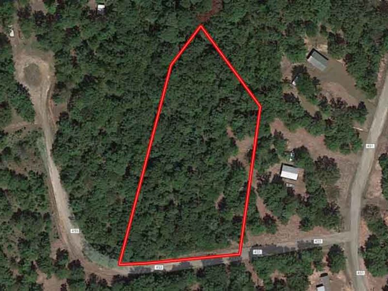 Unrestricted On Lake Sam Rayburn : Broaddus : San Augustine County : Texas