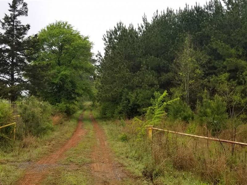 Olin C Lease Tract, Sabine Parish : Converse : Sabine Parish : Louisiana