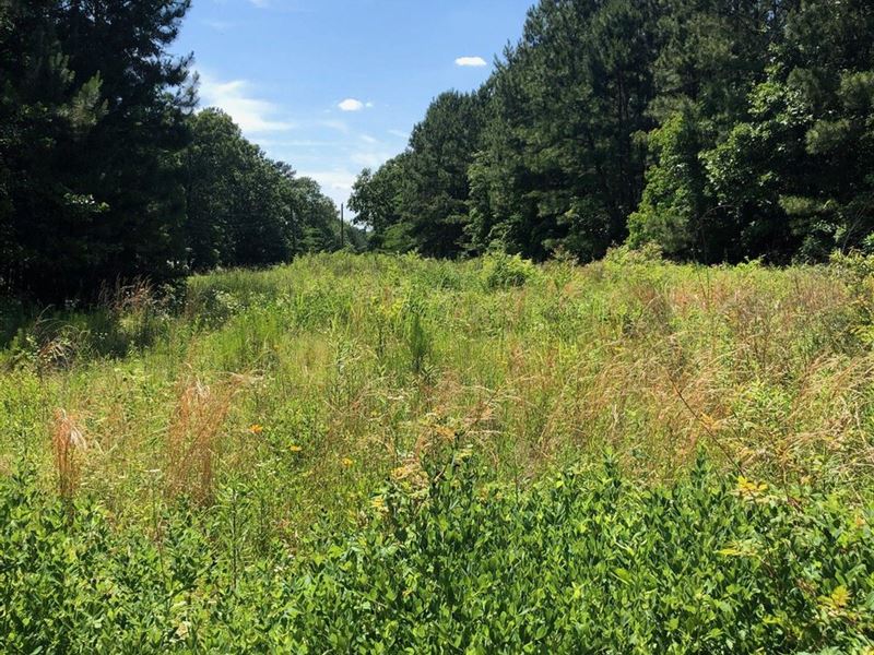 Smith Lane Tract, Caddo Parish, 40 : Blanchard : Caddo Parish : Louisiana