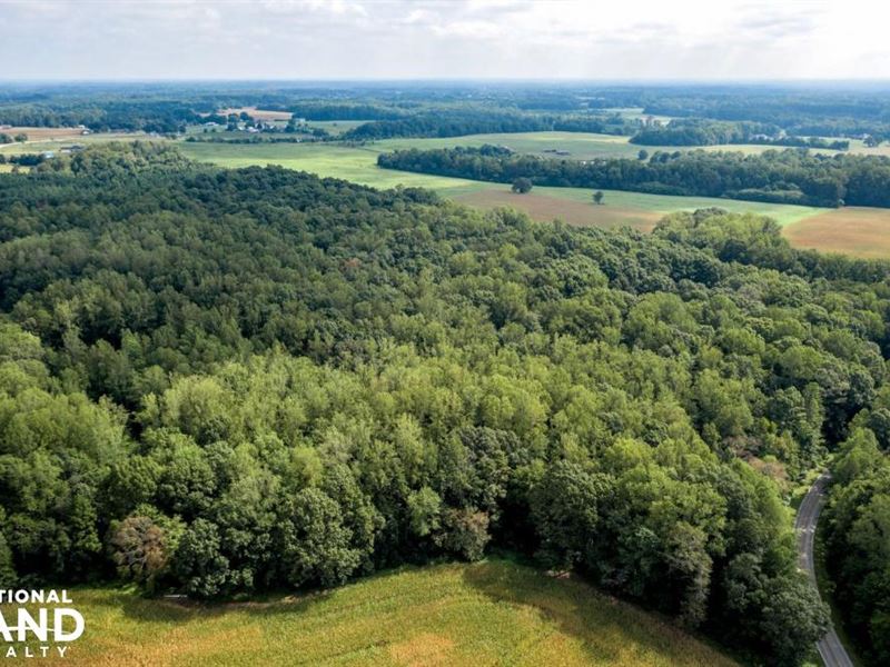 Rural Acreage with Timber and Homes : Salisbury : Rowan County : North Carolina