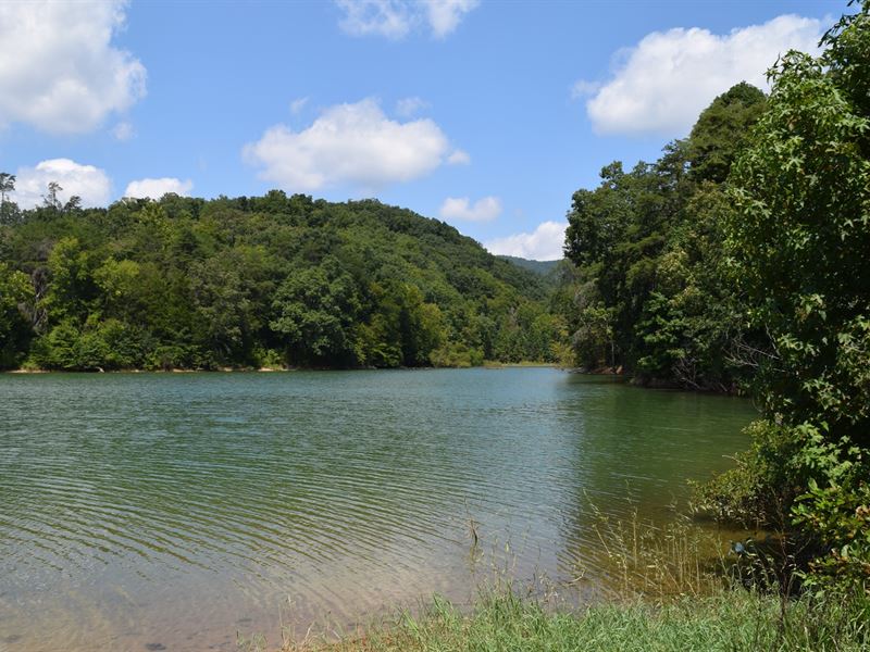 Gated Community Lakefront : Bean Station : Grainger County : Tennessee