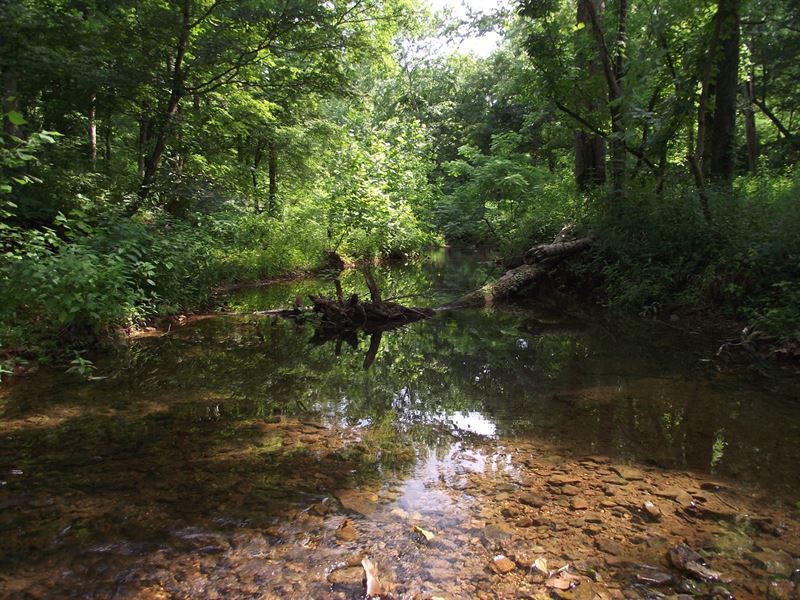Recreational Land for Sale : Hohenwald : Lewis County : Tennessee