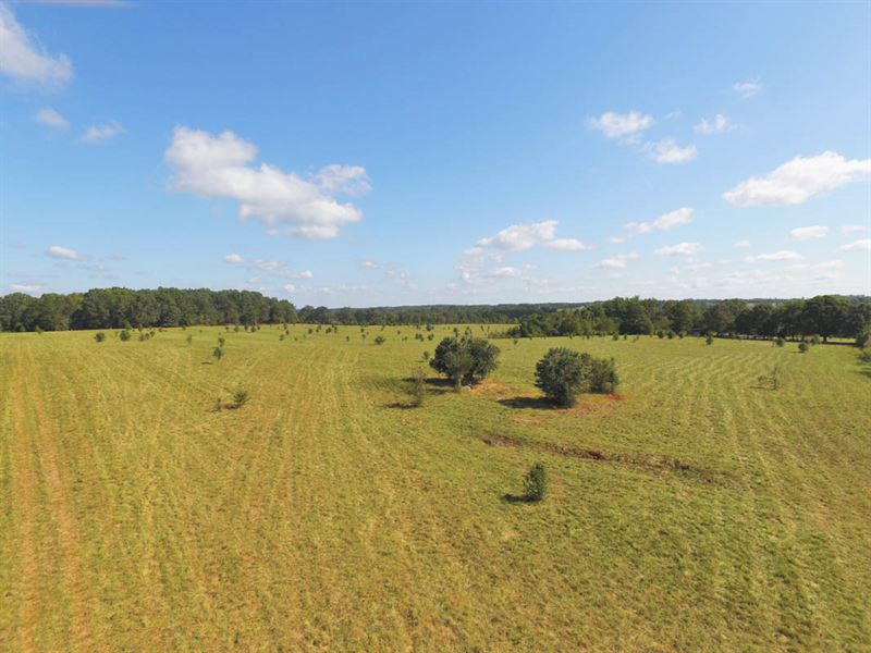 45 Acre Farm Northern Cherokee Co Land for Sale in Gaffney, Cherokee