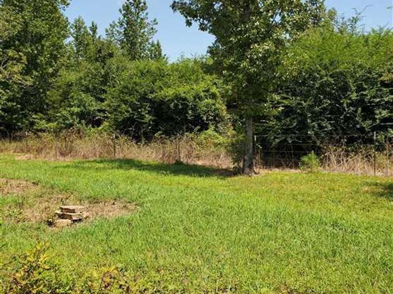 20 Acres Clinton, Arkansas, Grea : Clinton : Van Buren County : Arkansas