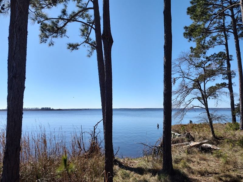 Waterfront Property in New Bern, NC : New Bern : Pamlico County : North Carolina