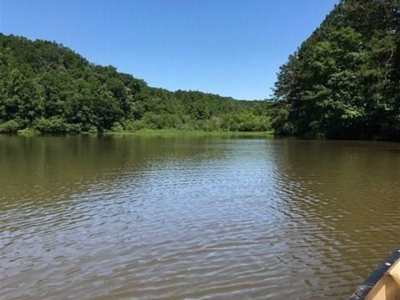 Lakefront Land for Sale in Jasper, Land for Sale in 211165