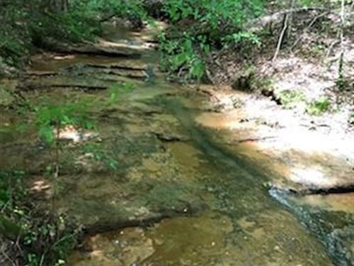 Mountain View Waterfront Property : Jasper : Pickens County : Georgia