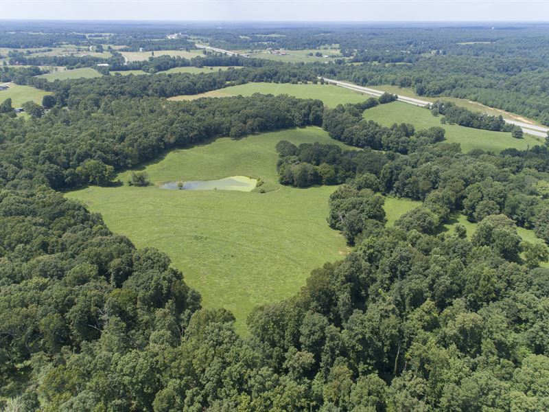 Amazing 80 Acre Farm in Williamson : Franklin : Williamson County : Tennessee