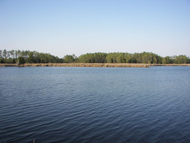 15 Acres Wooded / Clear Parcel : Scranton : Hyde County : North Carolina