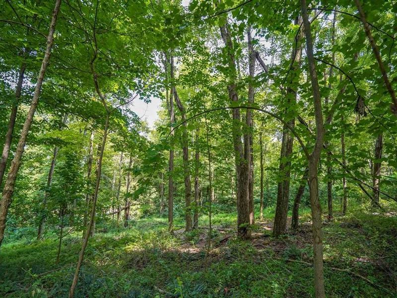 Sr 586, 26 Acres : Frazeysburg : Muskingum County : Ohio