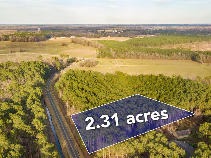 A Beautiful Wooded Lot : Greenville : Pitt County : North Carolina