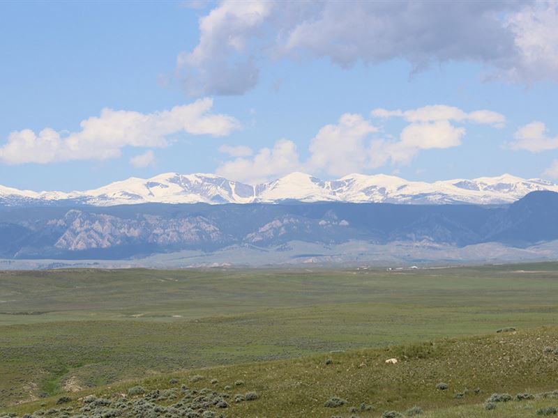 Longs Crazy Woman Creek Pasture : Buffalo : Johnson County : Wyoming