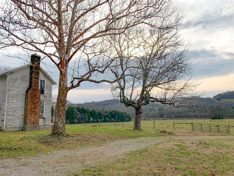 Plantation Home 36 Acres Middle : Fayetteville : Lincoln County : Tennessee