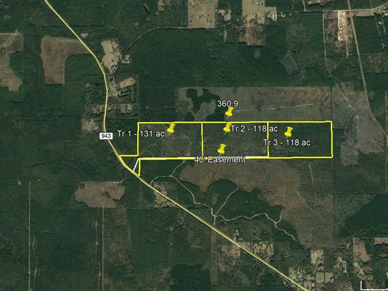 118 Acres Hunting Land 30 Minutes : Kountze : Hardin County : Texas