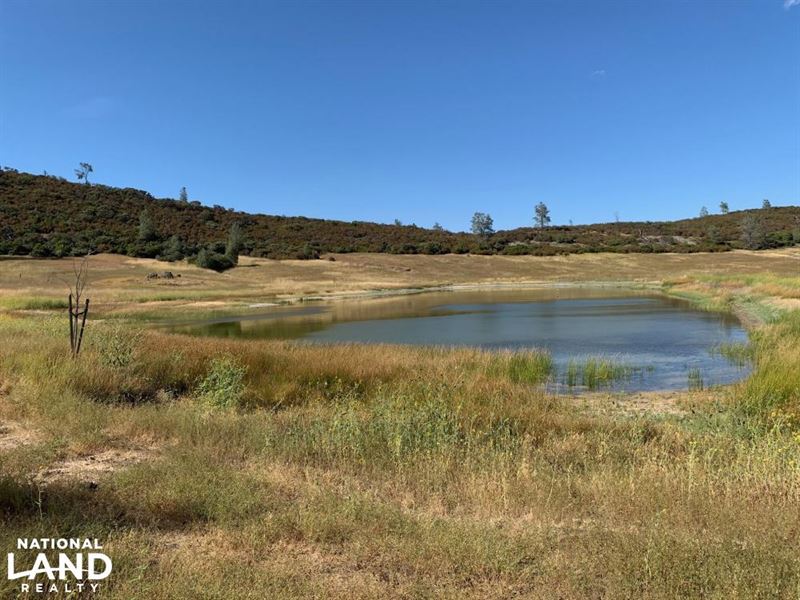 Hunting and Recreational Land : Middletown : Lake County : California