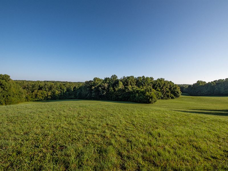 Towering Hardwoods & Hay Fields : Reidsville : Caswell County : North Carolina