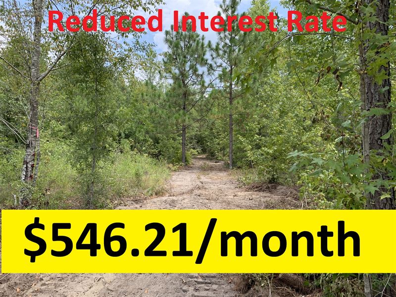 Owner Financed Recreational Tract : Dublin : Laurens County : Georgia