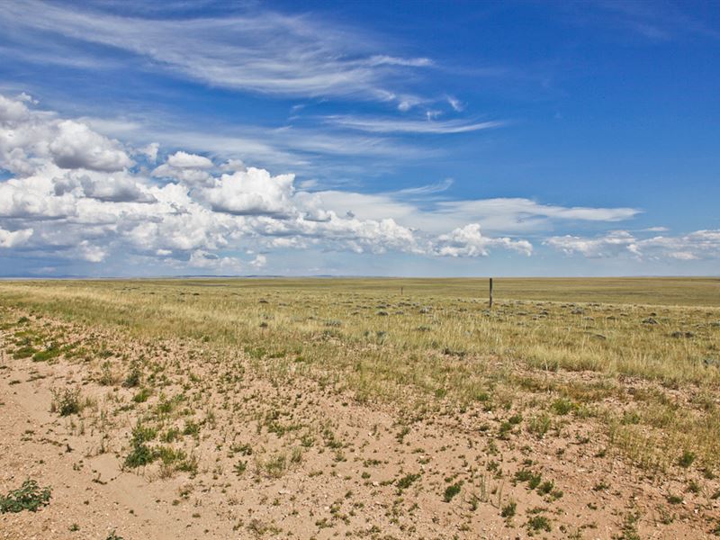 Lot 65 Cassidy River Ranch : Medicine Bow : Carbon County : Wyoming