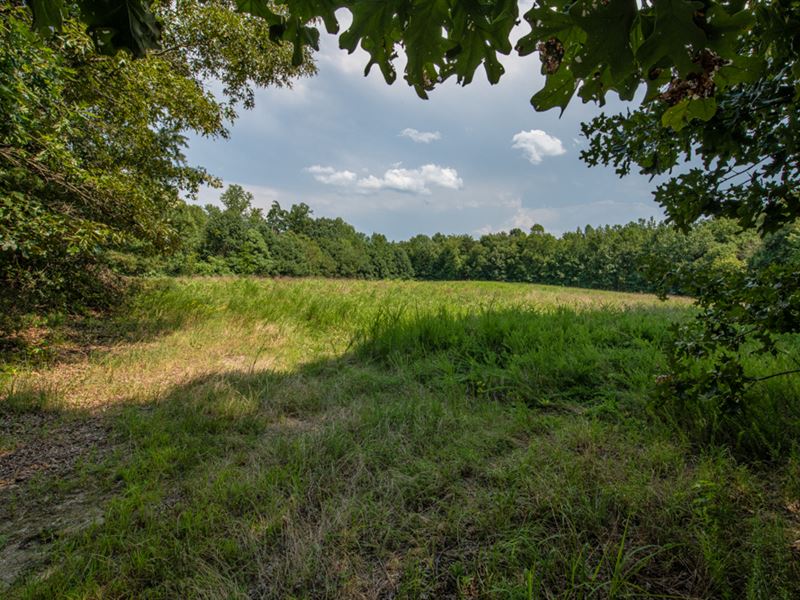 Ag and Hunting Tract, Pond Land for Sale in Pelham, Caswell County