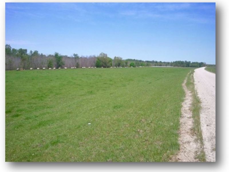 144 Acres In Warren County In Redwo Land for Sale in Vicksburg