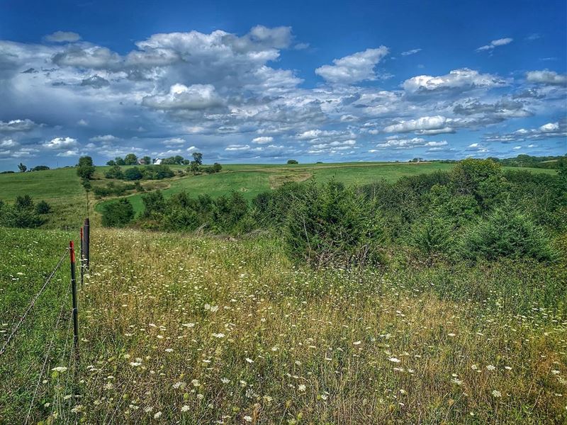 80 Acre Farm In Union County Iowa Land for Sale in Lorimor, Union