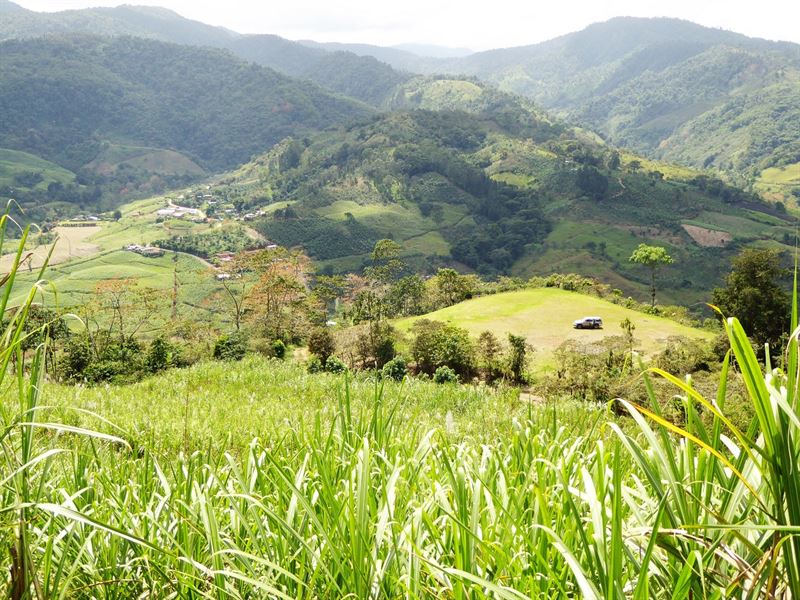 Mountain Home Site and Farm : La Suiza De Turrialba : Costa Rica