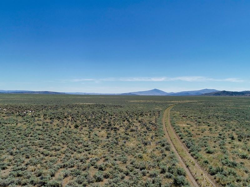 40 Acre Hemp Farm Pro : Termo : Lassen County : California