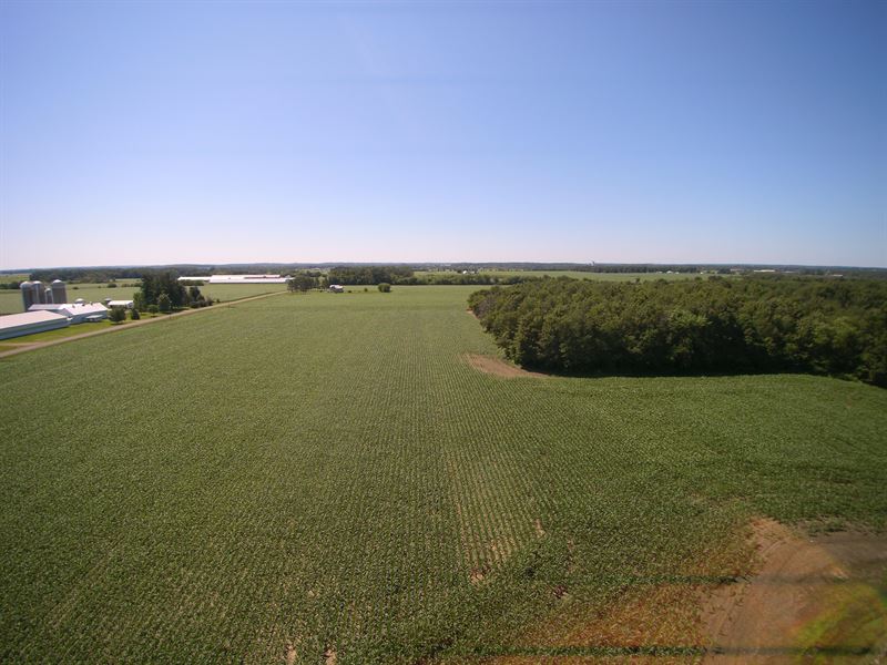Amazing Farm And Hunting Woodlands Land for Sale by Owner in Barron