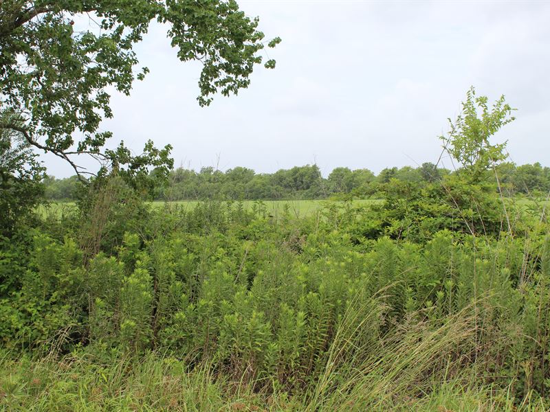 A New Life Ahead At This 5 Acre Lot : Blessing : Matagorda County : Texas