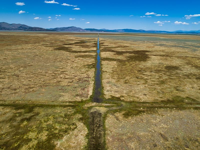 20.1 Acre Hemp Farm Canal : Madeline : Lassen County : California