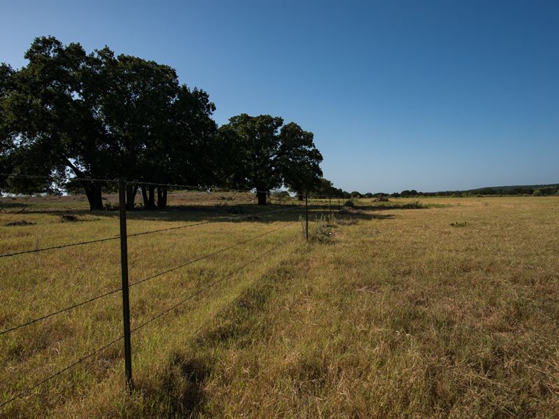 Prime Pasture Land for Sale : Gorman : Eastland County : Texas