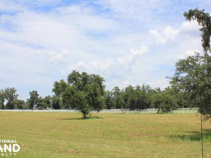 Eastgate Equestrian Home Sites : Meggett : Charleston County : South Carolina
