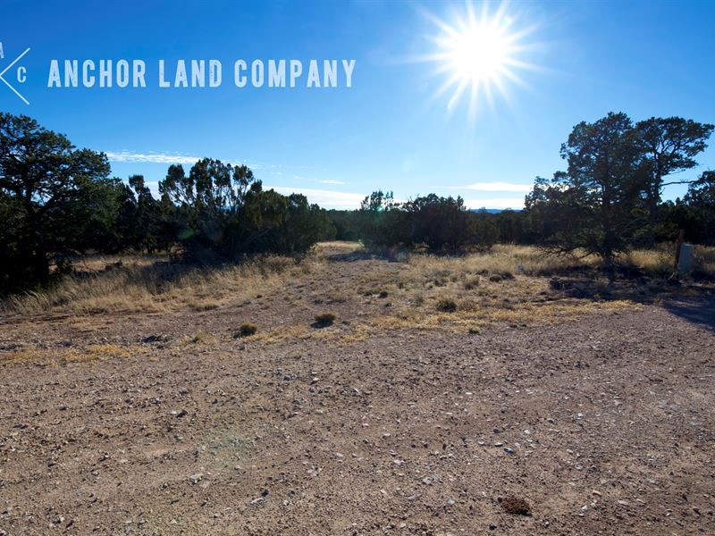 40 Acre Ranch for Sale Lot 12 : Corona : Torrance County : New Mexico