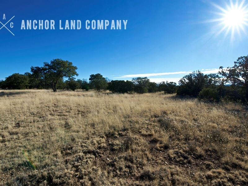 Beautiful 40 Acre Ranch Lot 16 : Corona : Torrance County : New Mexico