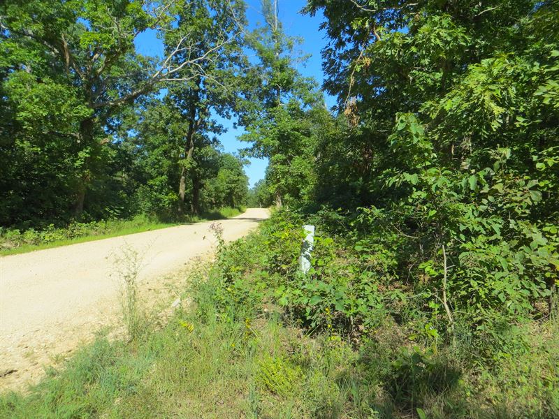 Land for Sale in Mammoth Spring, Ar : Mammoth Spring : Fulton County : Arkansas