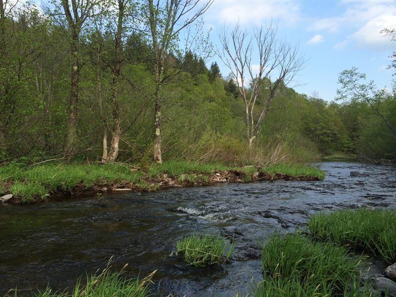 North Branch Of The Salmon River : Redfield : Oswego County : New York
