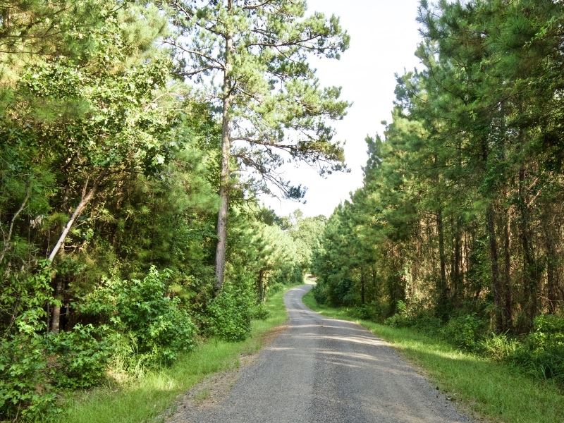 Lot For Sale, 4 Acres, Sailes, LA Land for Sale in Sailes, Bienville