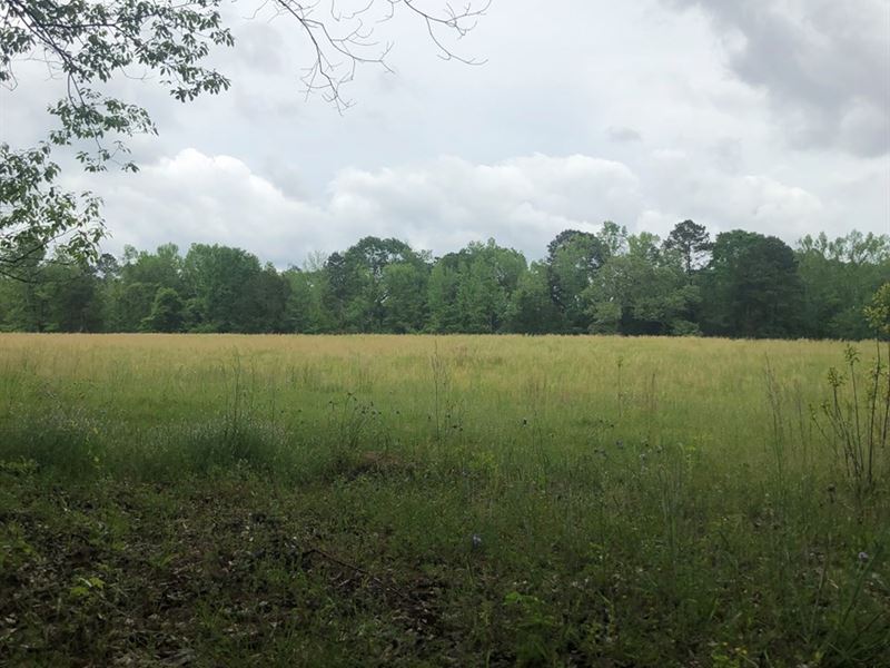 Beautiful Pasture Land For Sale Land for Sale in Bronson, Sabine