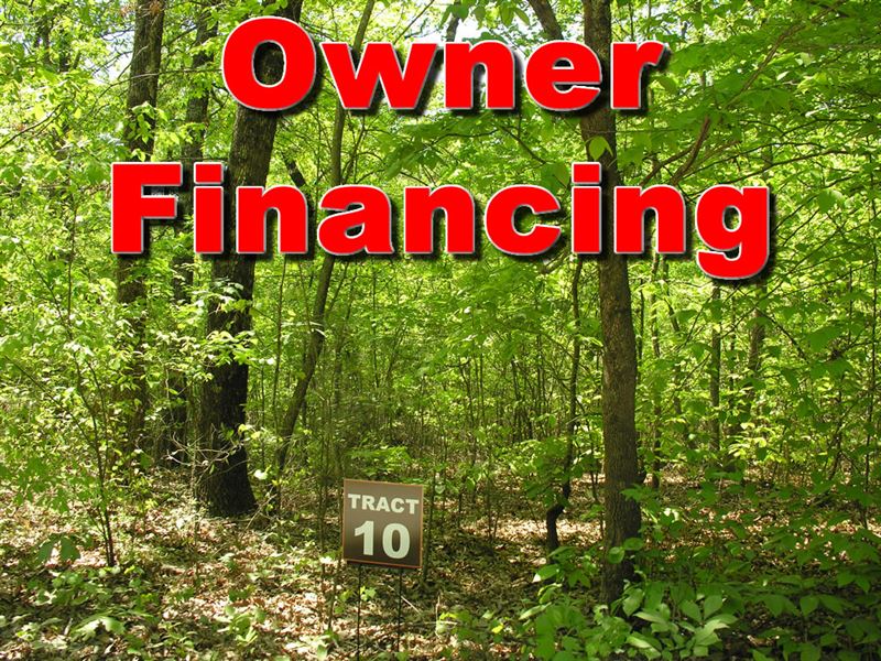 10 Acres Owner Finance Land for Sale by Owner in Cleveland, White