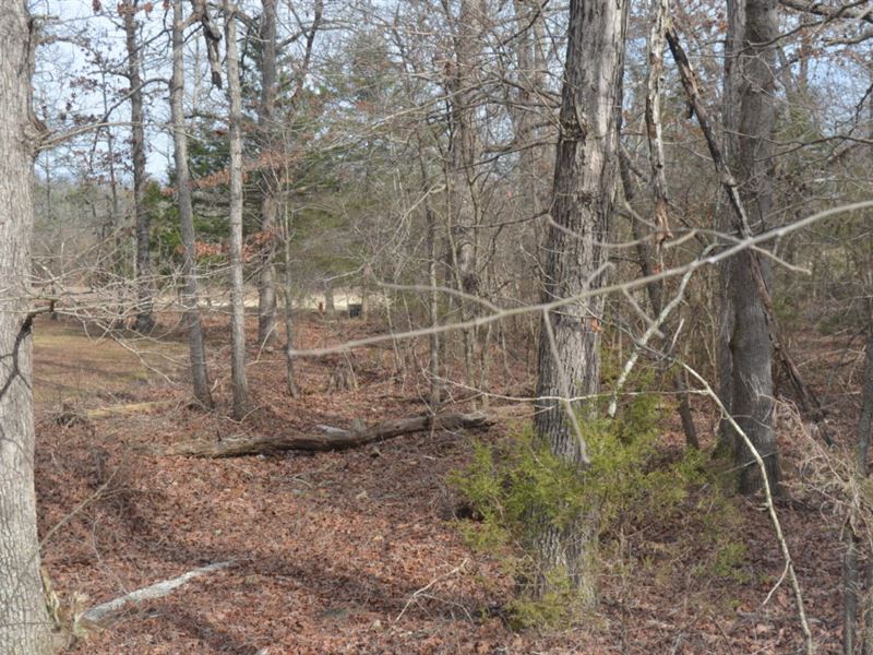 Beautiful Piece Of Raw Land : Horseshoe Bend : Izard County : Arkansas