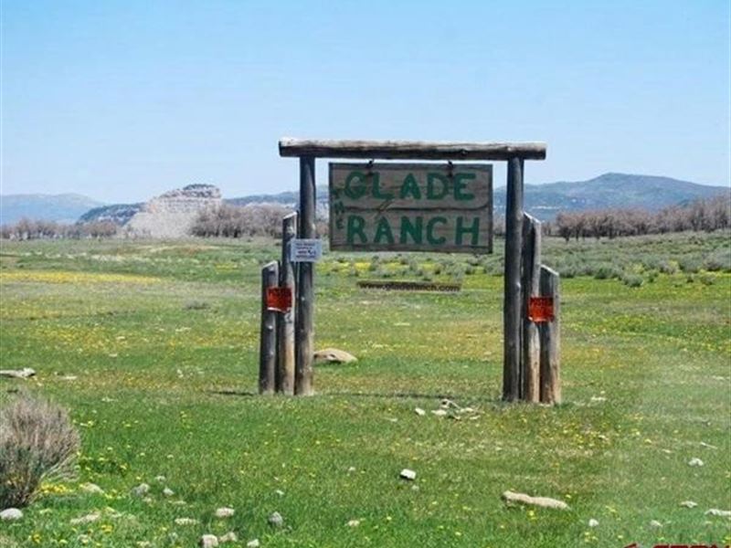 Mountain Recreational Property : Cahone : Dolores County : Colorado