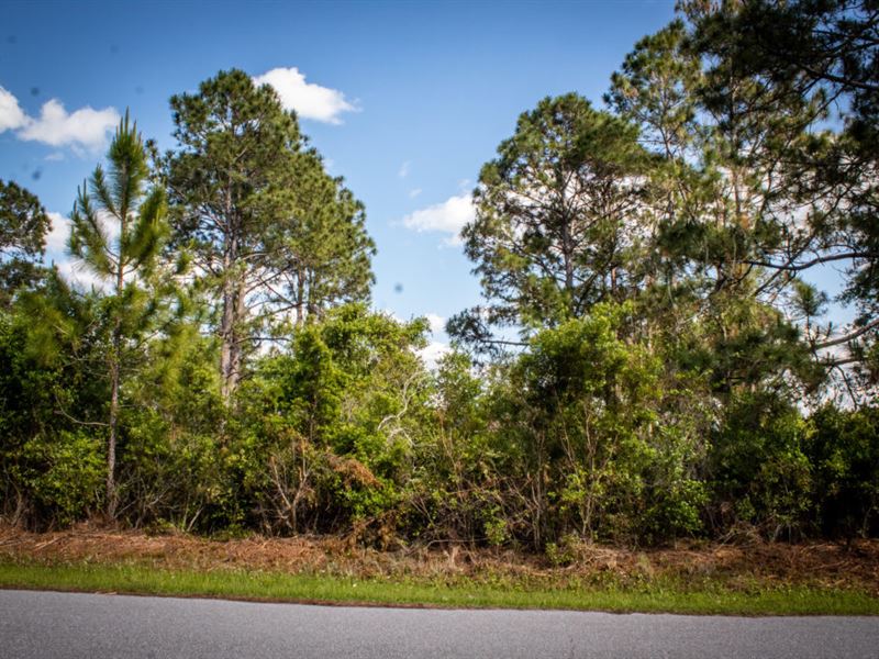 North Port Neighborhood with Power : North Port : Sarasota County : Florida