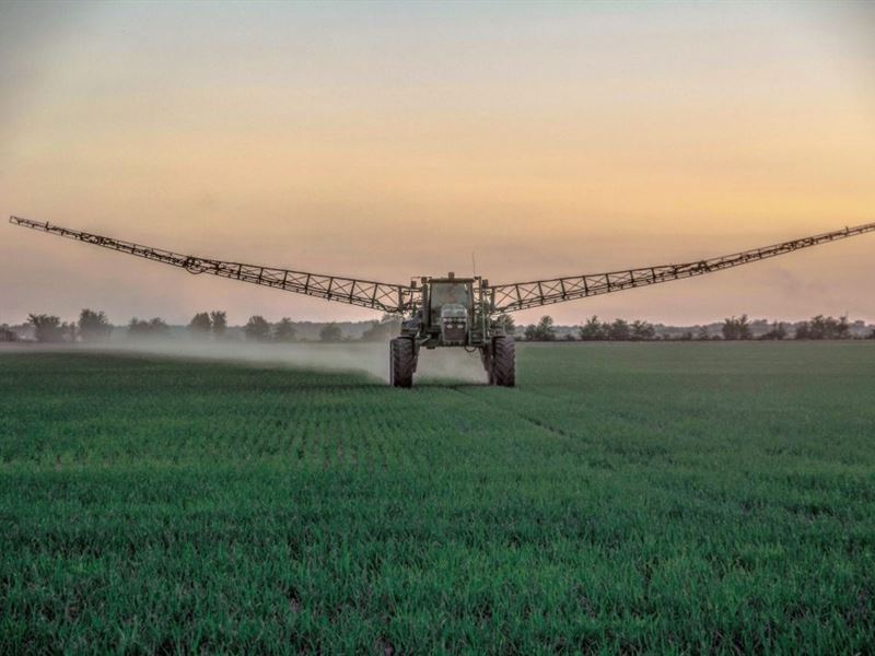 Hwy 70 Farm : Biscoe : Prairie County : Arkansas